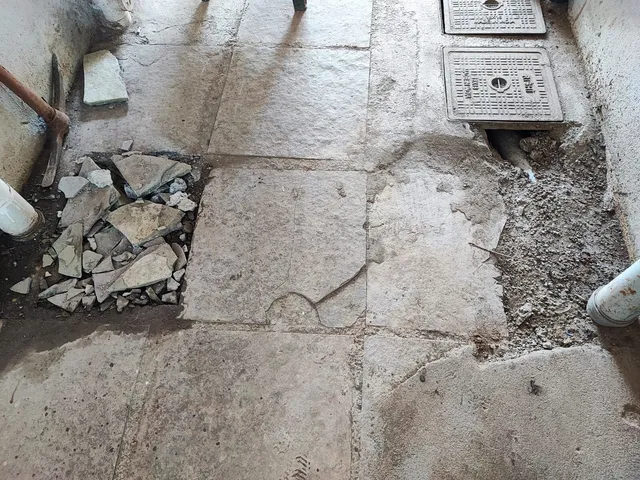 Golden Rice Art Space