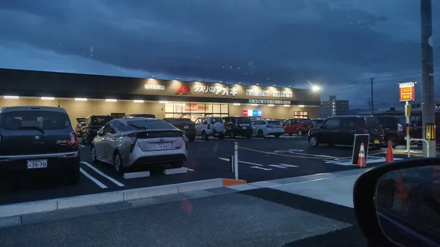 Kusuri No Aoki Fukui Takayanagi Shop