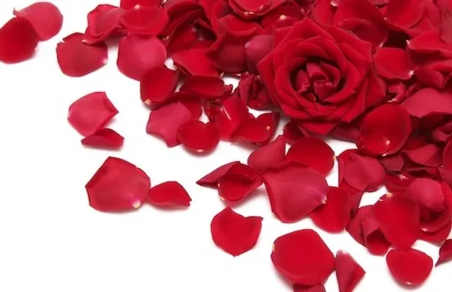 Body Exchange Lingerie Boutique