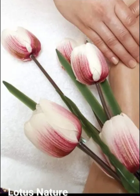 Lotus Nature Massage &Wellness