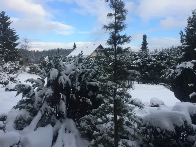 Ferienwohnungen Eulennestchen