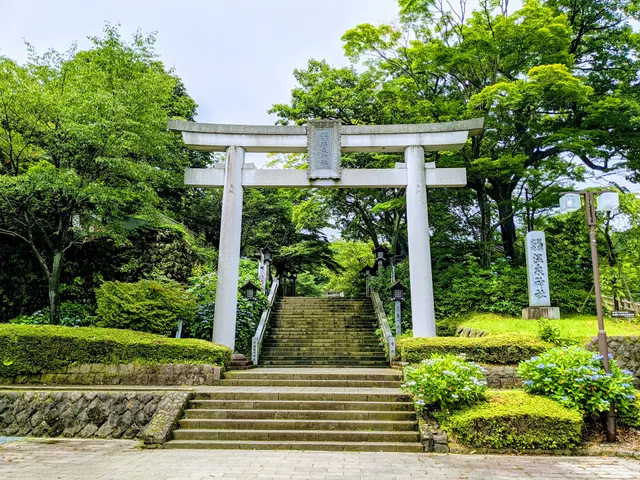 Torii