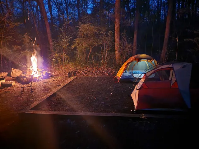 Elizabeth Furnace Family Campground
