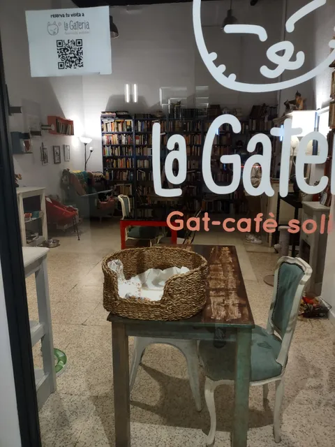 La Gateria - gat-cafè solidari