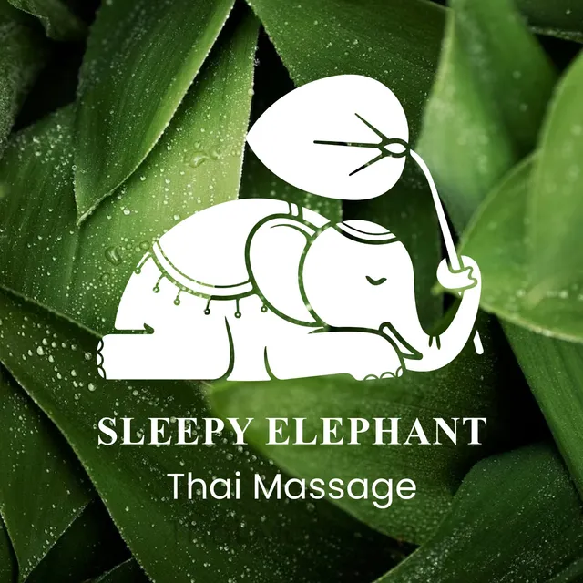 Sleepy Elephant Thai Massage