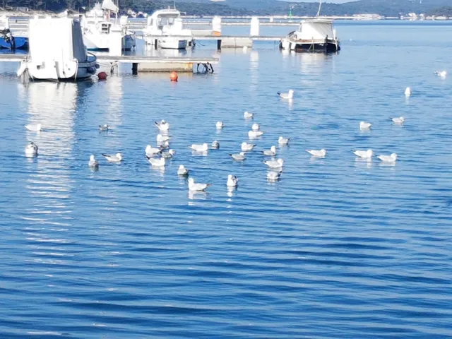 Apartments Sunčica Mali Lošinj