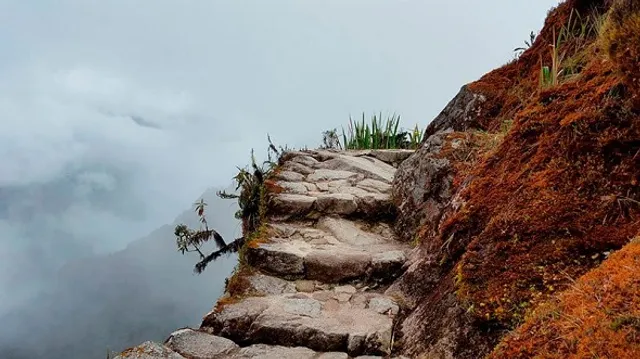 Machu Picchu Magico Tours