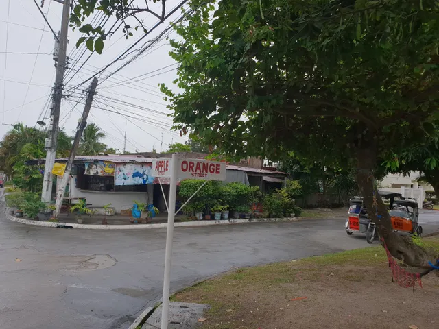 Hensonville Homes Subdivision