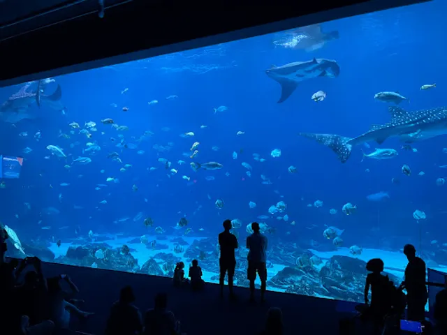 Atlanta aquarium