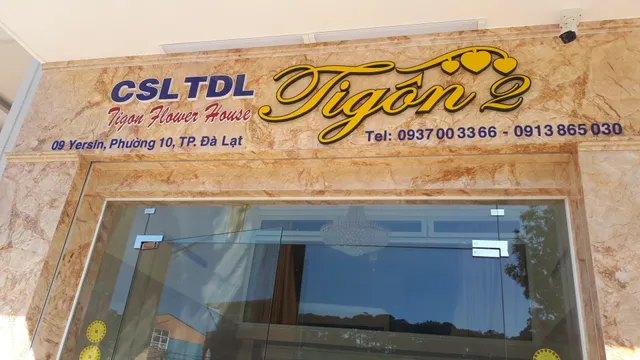 Tigon Flower House 2