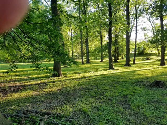 Maria Barnaby Greenwald Memorial