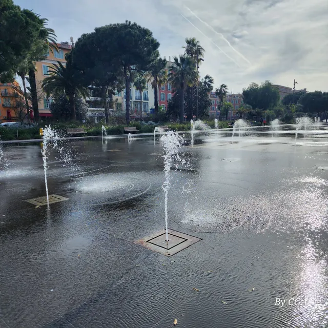 Forum Torrin & Grassi