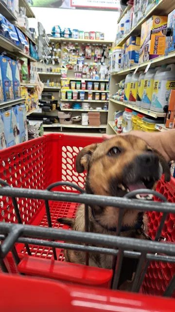 Lincoln Park Shopping Center