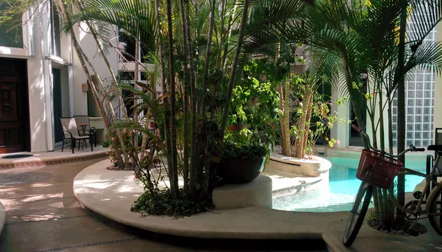 The Royal Palms by Bric