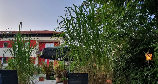 -Garni - Hotel - Pegnitz- "Schlabecks Fränkischer Hof"