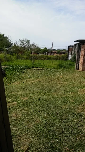 Pipilo Manjares de Pescado