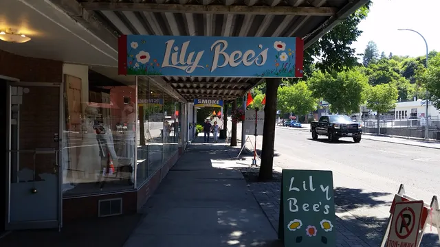 Lily Bee's Boutique, Bridal and High End Consignments