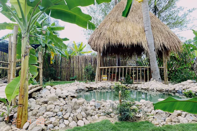 Mango House Retreat Quy Nhon