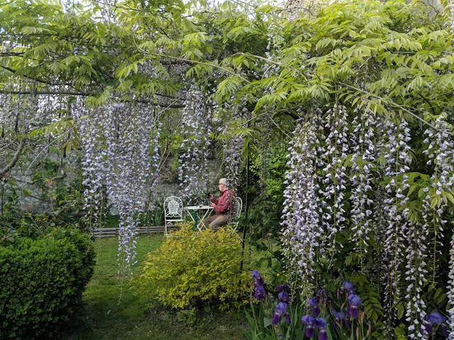 Villa À L'ancien Pigeonnier