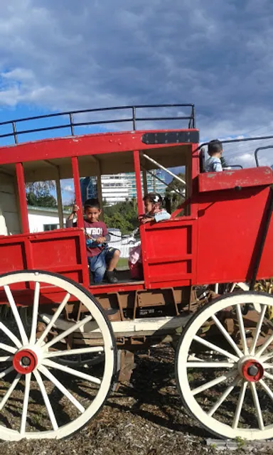 Colour Dragon Restaurant