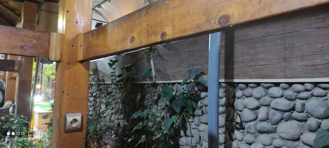 Courtyard Traditional Garden Restaurant