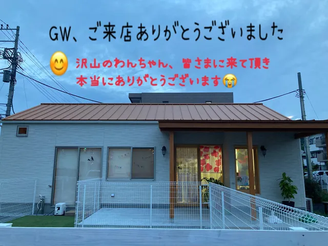 ドッグ カフェ cafe de cobi