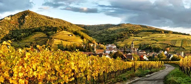 Gites Ribeauville Aux Trois Clefs