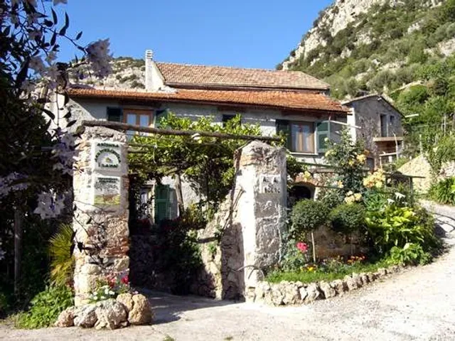 The Organic Farm Lamoi