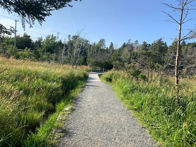 Kents Pond Trail