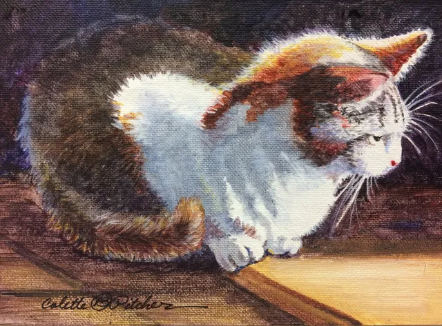 Showcase Art Center, LLC