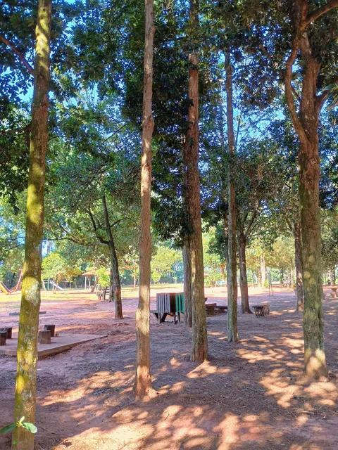 Horto Florestal de Bauru