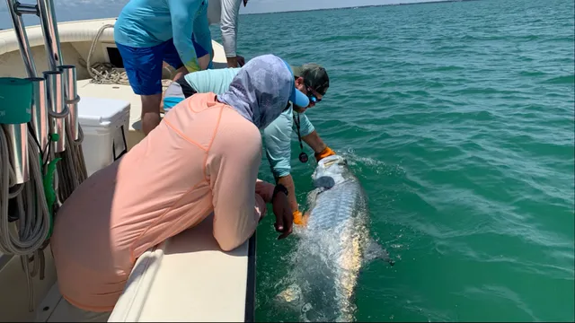 Inshore Fishing Guide : Capt. Jim Bennett