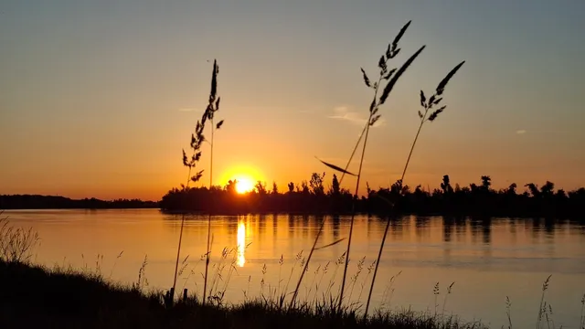 Vikendica na Obali Dunava - Prljuša