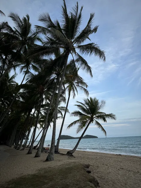 Palm Cove Beach