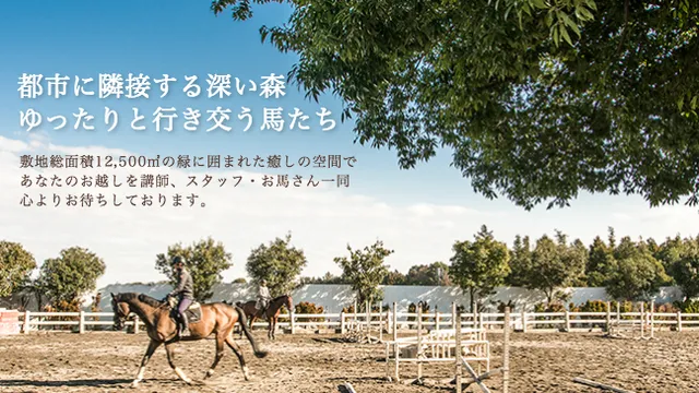 Avalon Hillside Farm