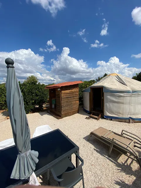 Yurt orange grove