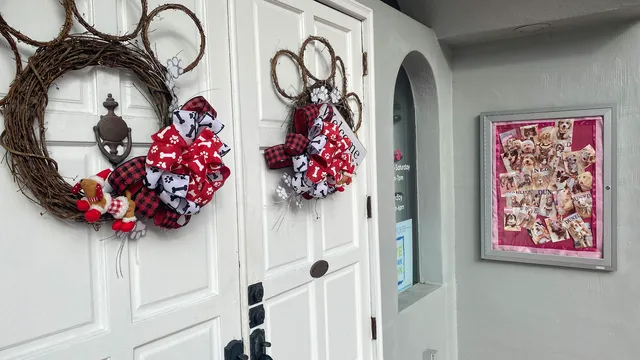 Woof Gang Bakery & Grooming Dunedin