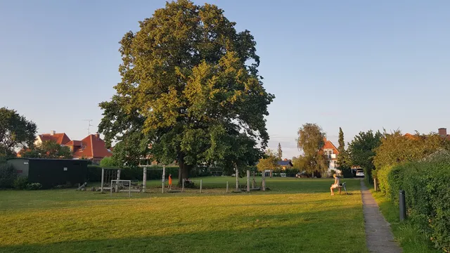 Græsplænen / Den grønne cirkellegeplads