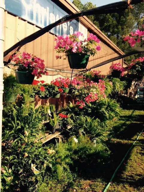 Christie's Feed & Seed-Garden Center