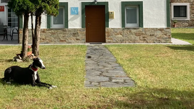 Apartamentos Castello