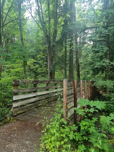 Taylor Mountain Forest Trailhead