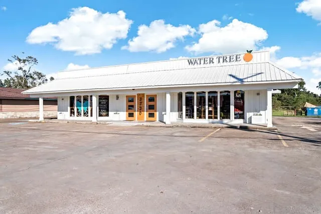 Water Tree Orange - The Health Lab