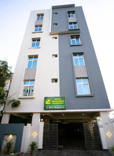 Yellow Bells Gachibowli