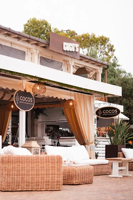 Cocos experience