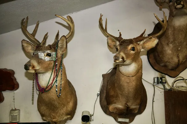 Alpine Pawn & Sporting Goods