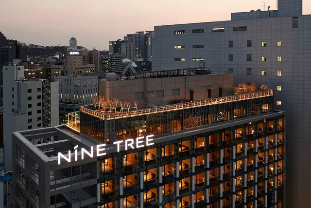 Nine Tree by Parnas Seoul Myeongdong II