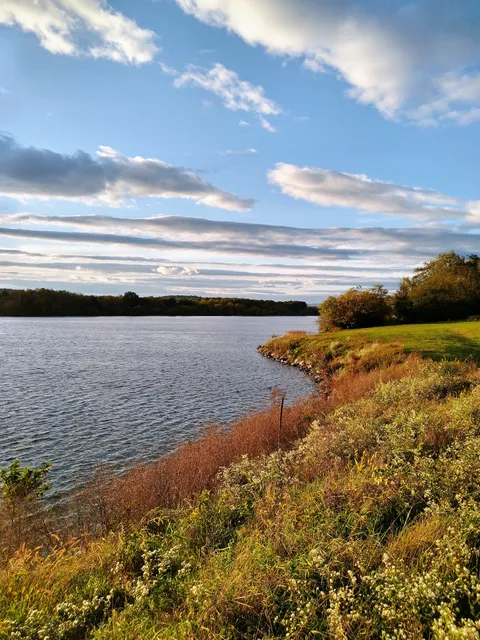 Blue Marsh Lake
