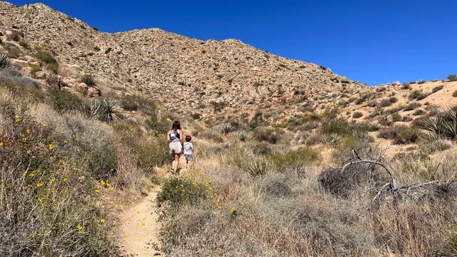 Boom Trail