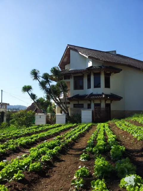 Villa Notes From The Mountains