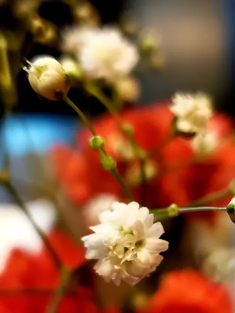 Céu da Boca Cafeteria